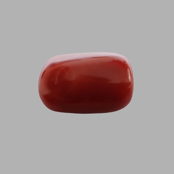 Red Coral - 12.9 Carat