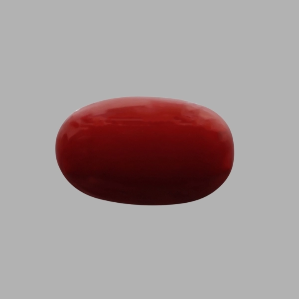 Red Coral - 7.71 Carat