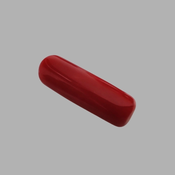 Red Coral -  6.10 Carat