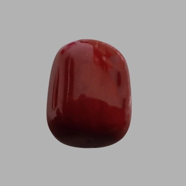 Red Coral - 4.38 Carat